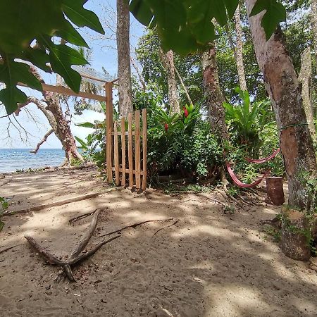 Hostel Oasis Puerto Viejo de Talamanca Exteriér fotografie