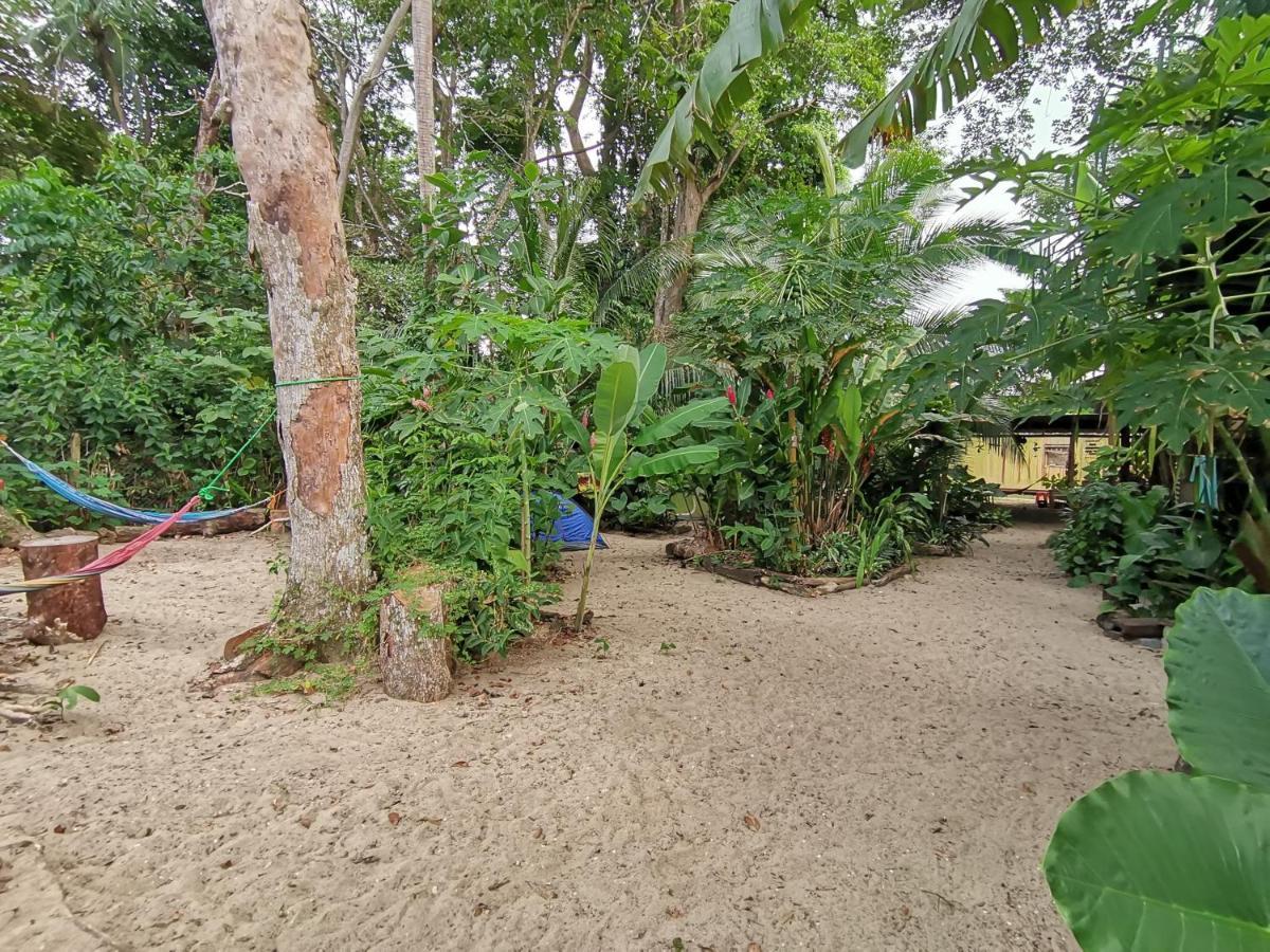Hostel Oasis Puerto Viejo de Talamanca Exteriér fotografie