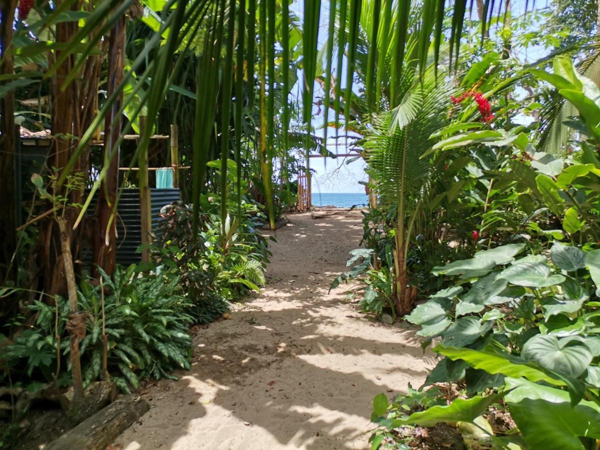 Hostel Oasis Puerto Viejo de Talamanca Exteriér fotografie