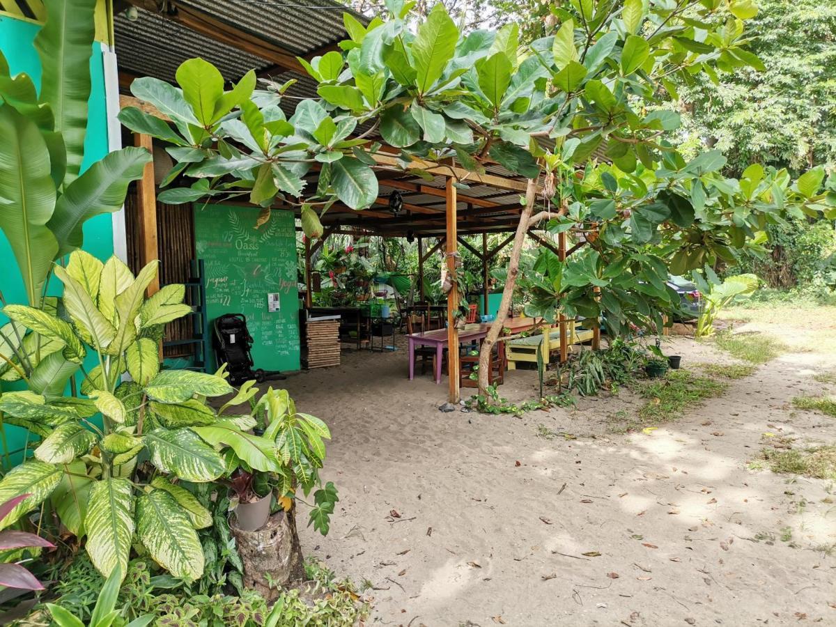 Hostel Oasis Puerto Viejo de Talamanca Exteriér fotografie