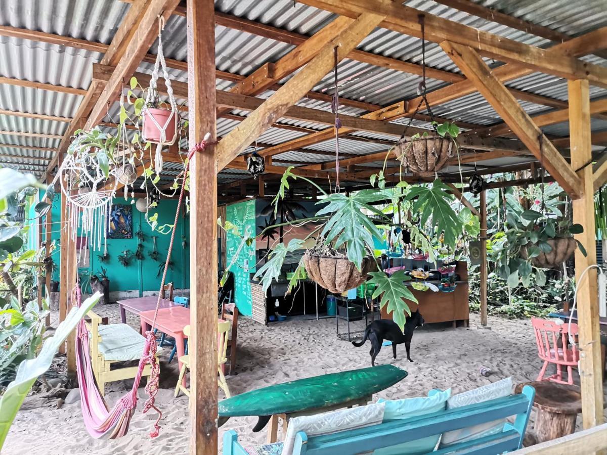 Hostel Oasis Puerto Viejo de Talamanca Exteriér fotografie