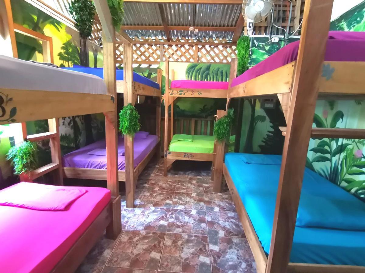 Hostel Oasis Puerto Viejo de Talamanca Exteriér fotografie