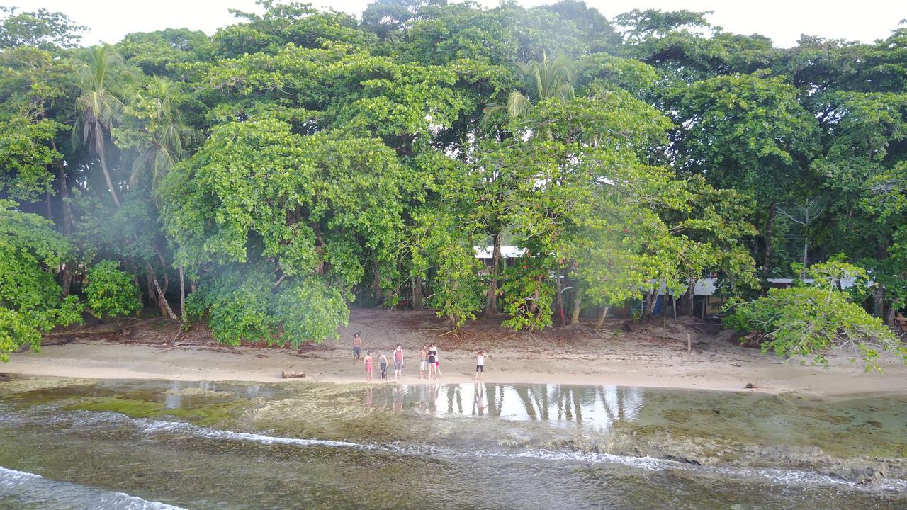 Hostel Oasis Puerto Viejo de Talamanca Exteriér fotografie