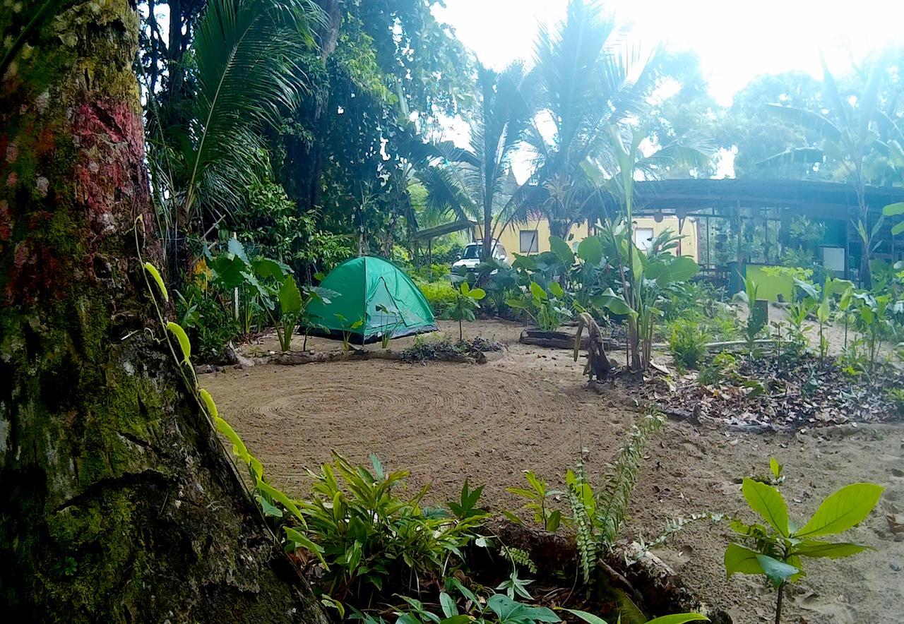 Hostel Oasis Puerto Viejo de Talamanca Exteriér fotografie