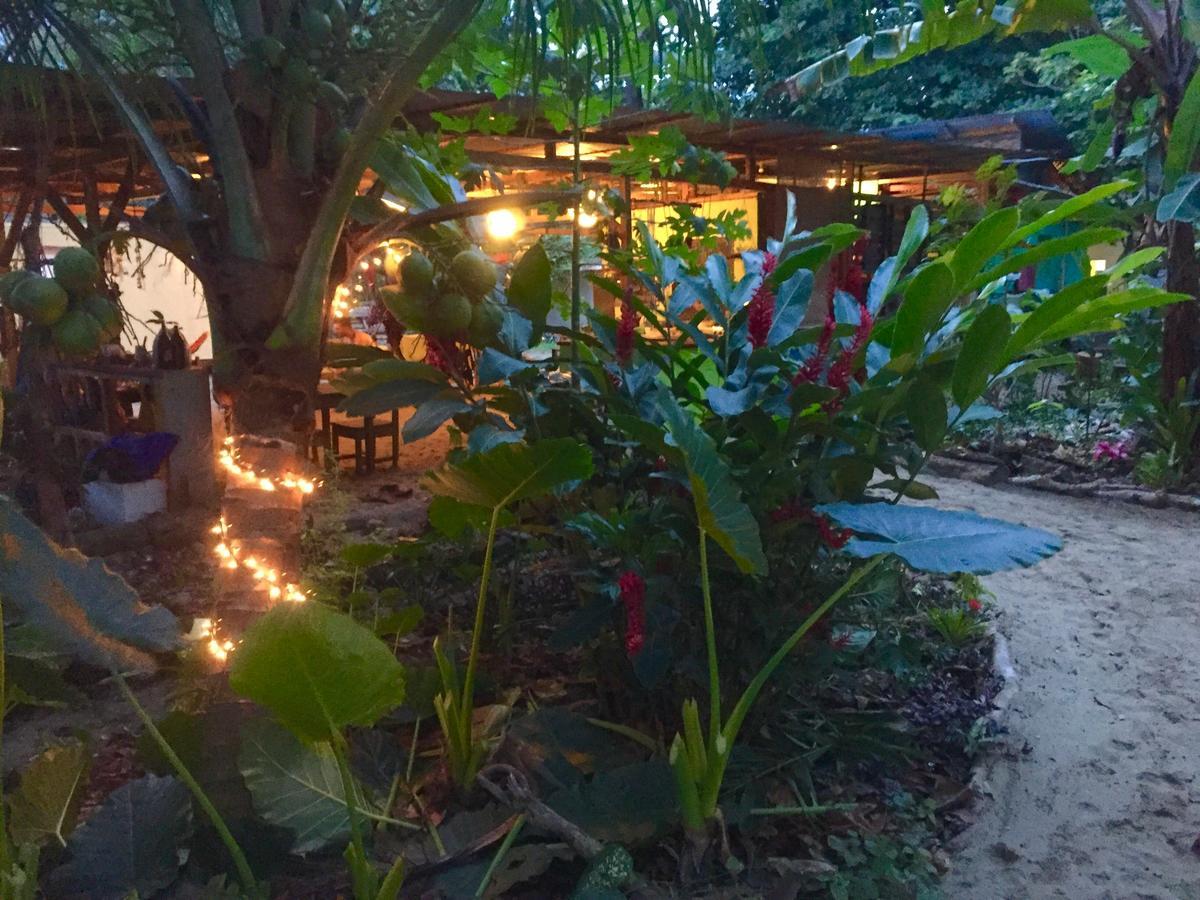 Hostel Oasis Puerto Viejo de Talamanca Exteriér fotografie