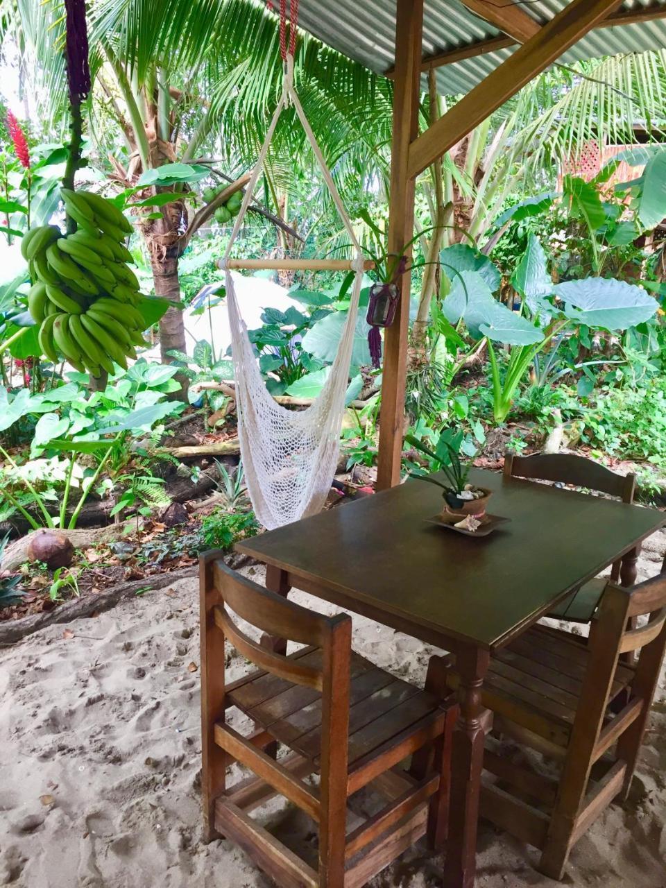 Hostel Oasis Puerto Viejo de Talamanca Exteriér fotografie
