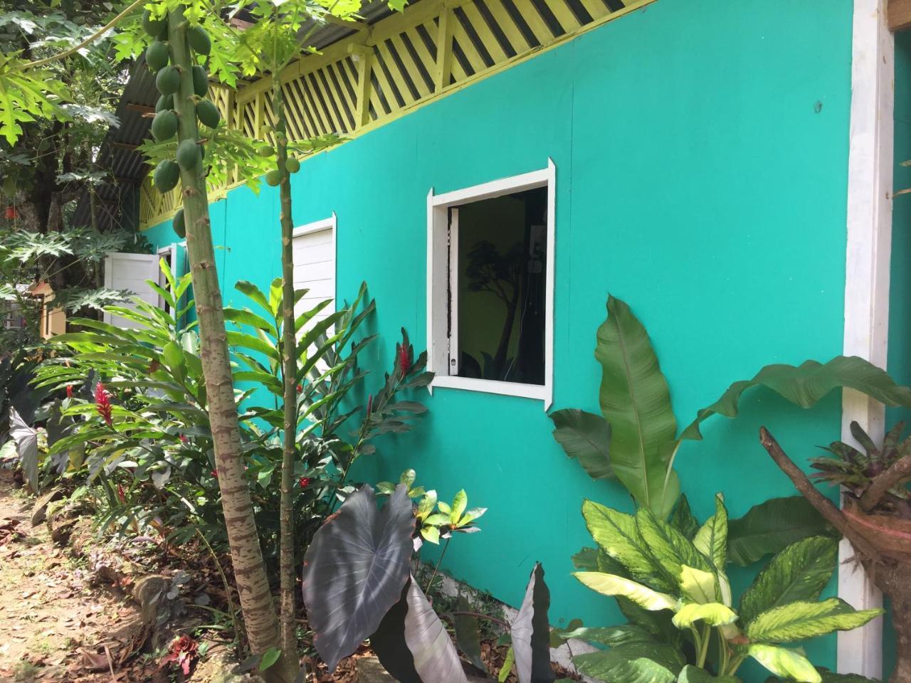 Hostel Oasis Puerto Viejo de Talamanca Exteriér fotografie