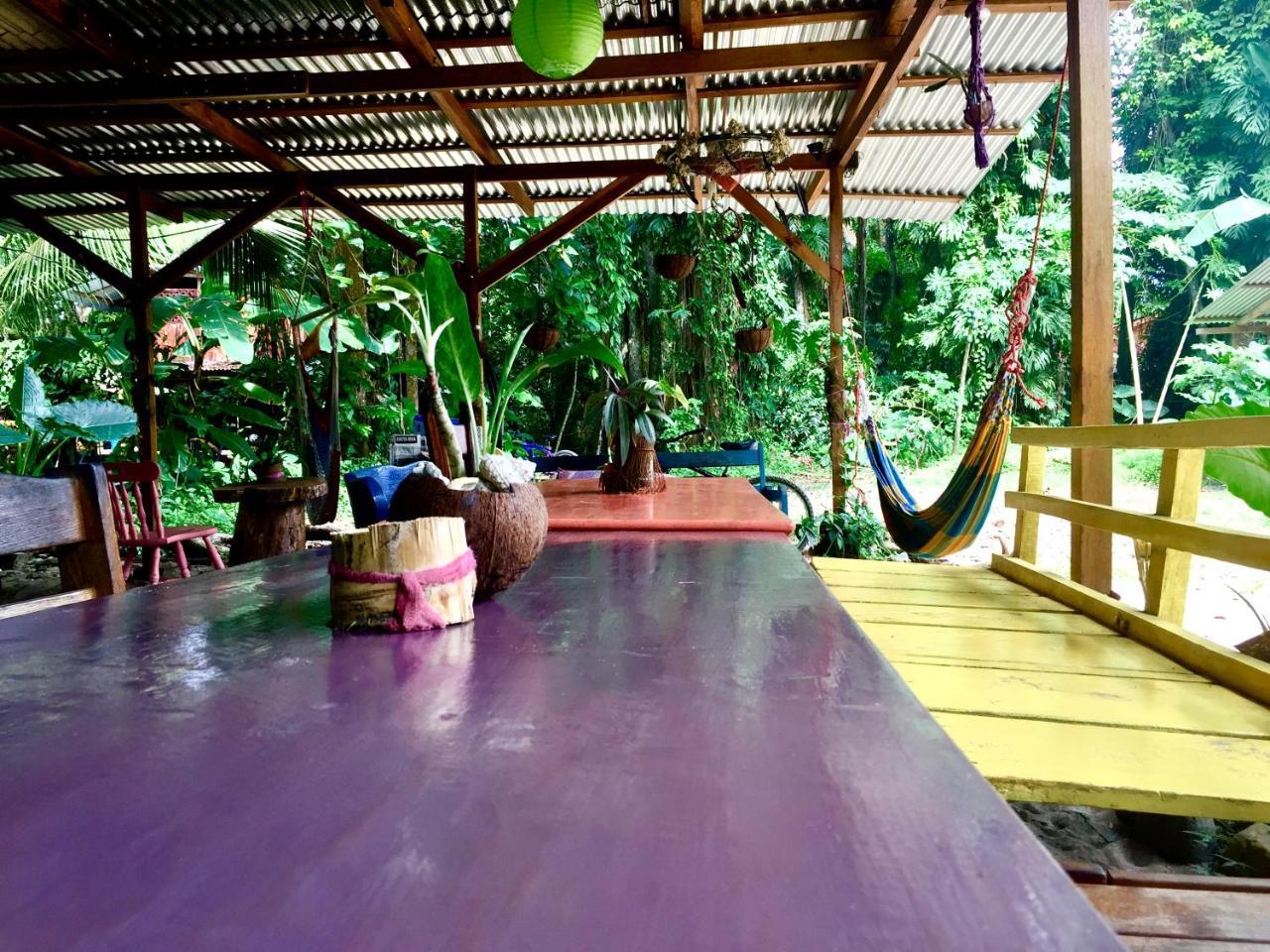 Hostel Oasis Puerto Viejo de Talamanca Exteriér fotografie