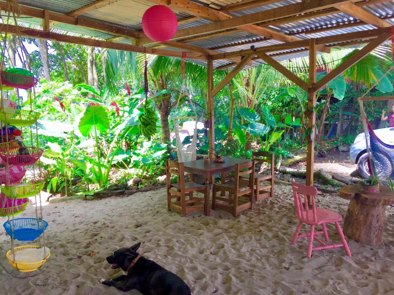 Hostel Oasis Puerto Viejo de Talamanca Exteriér fotografie