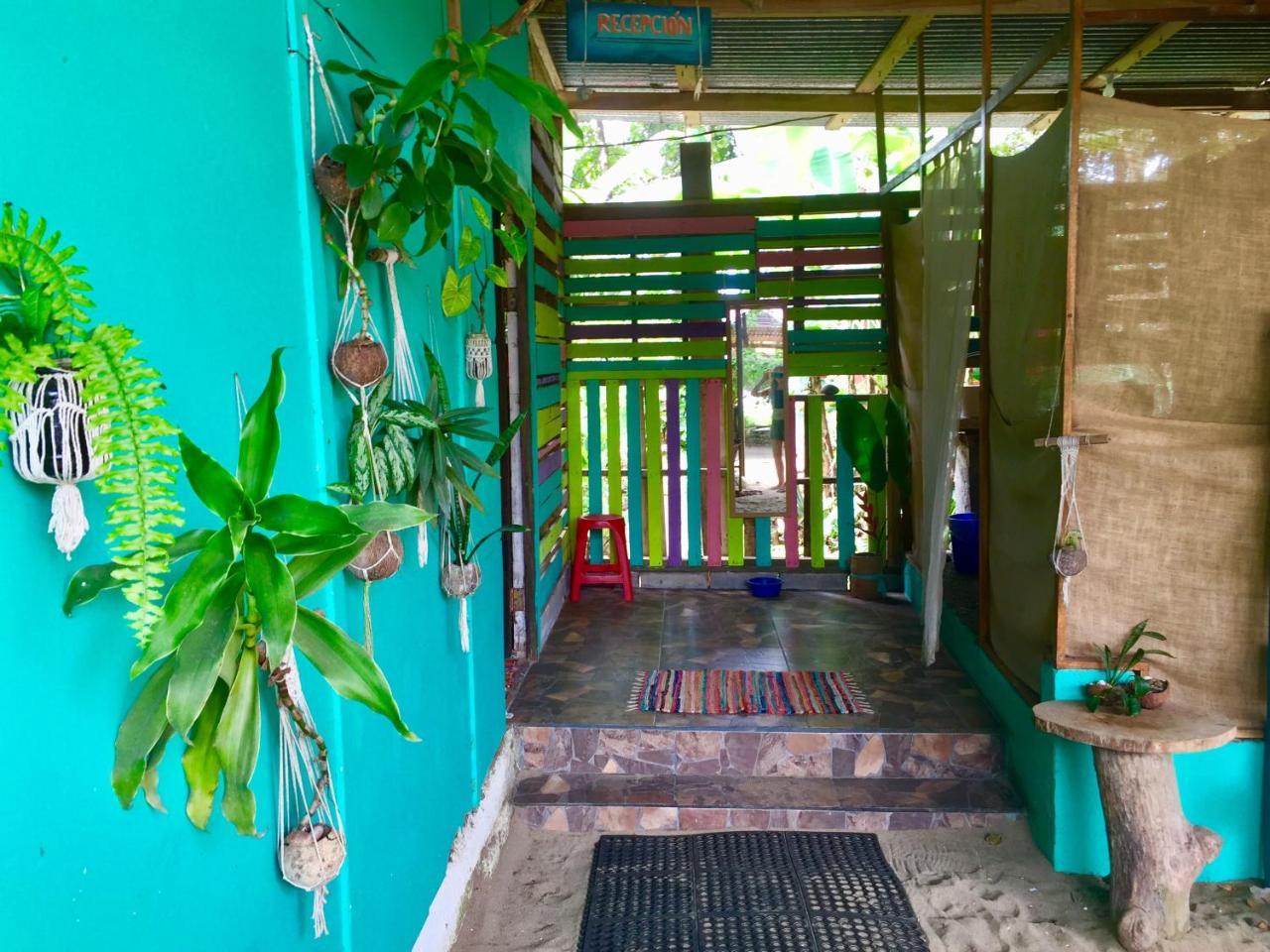 Hostel Oasis Puerto Viejo de Talamanca Exteriér fotografie