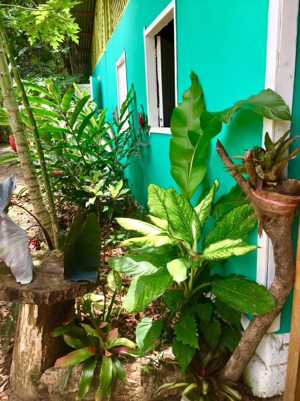 Hostel Oasis Puerto Viejo de Talamanca Exteriér fotografie